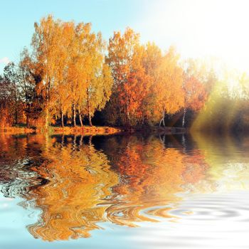 Beautiful autumn background with yellow and red leaves.