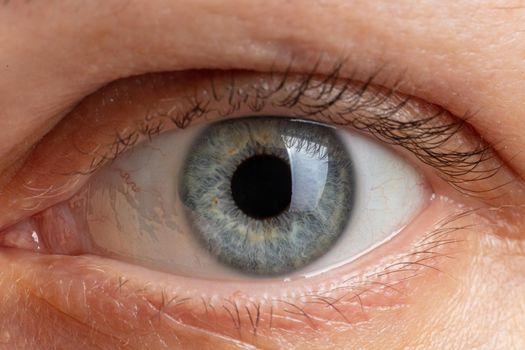 human pupil of blue color close up.