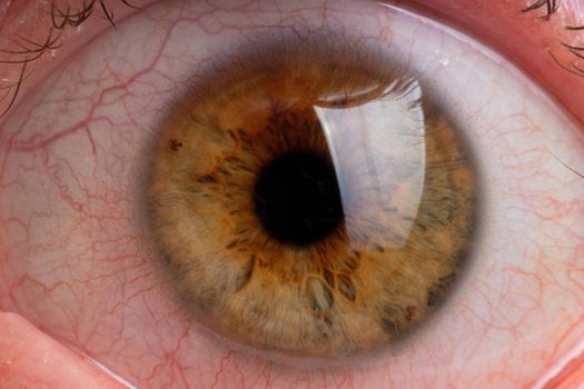 human pupil close up.