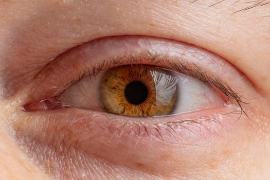 human pupil close-up of brown color.