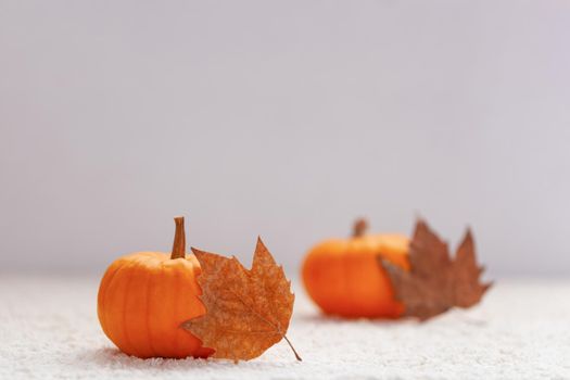 autumn composition with mini pumpkins and dry fallen leaves, selective focus, side view, copy space
