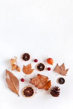 autumn flatlay with fallen leaves, dry orange slices and physalis, white background, copyspace