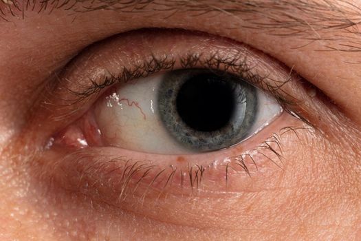 male blue eye close up.
