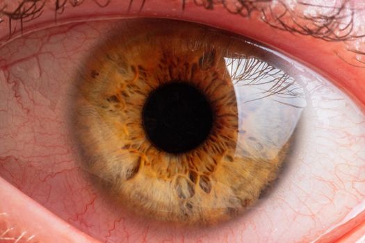 human pupil of brown color close up.