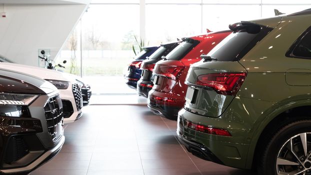 dealership car showroom of premium SUVs, cars in a row, rear view.