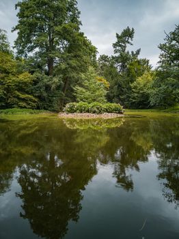 Small green isle full of small flowers on small pond in park