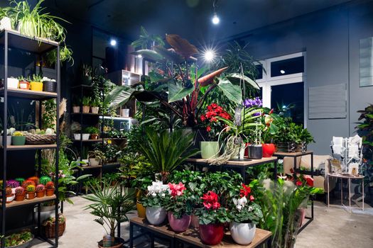 interior of a modern stylish premium loft style flower shop with potted plants.