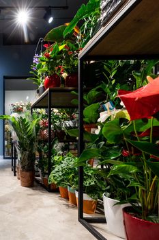 loft style flower shop interior with potted plants.