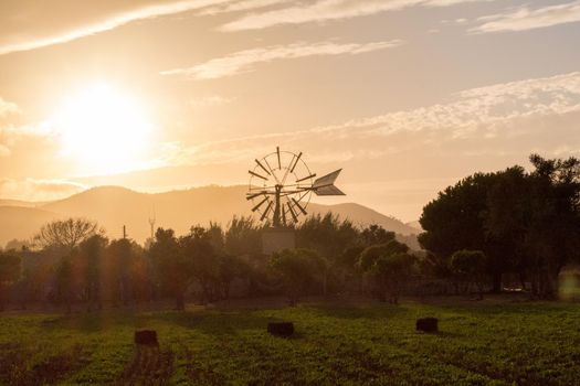 Sunset in the Farm, Puig d ´en Valls, Ibiza, Spain.