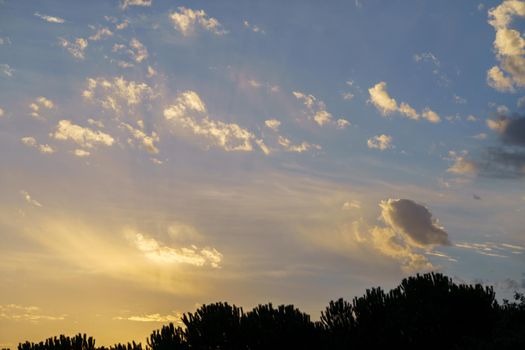 dramatic sky at sunrise with yellow colors with trees at the bottom