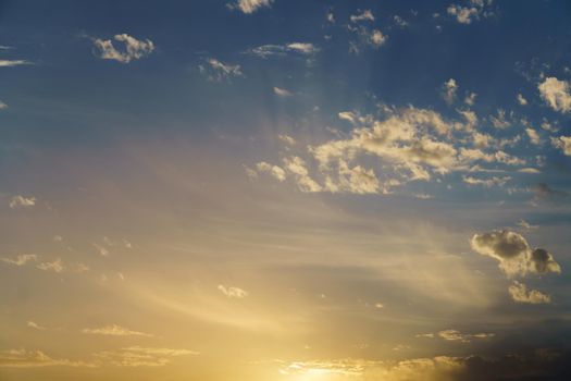 dramatic sky at sunrise with yellow colors with trees at the bottom