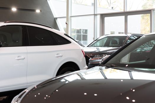 big new SUVs in the dealer showroom of the car center.