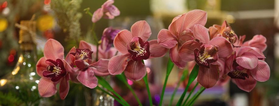 a close-up photo of an orchid in a florist shop.