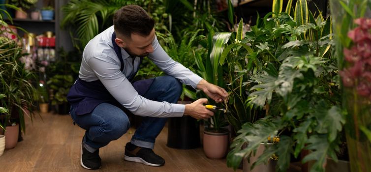 botanist against the background of potted plants tends to flowers in a flower warehouse.
