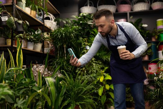 entrepreneur florist in a garden center taking pictures on a smartphone flower arrangements potted plants.