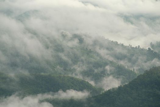 The mist on green mountain at the morning.  Early morning in Thailand mountains.