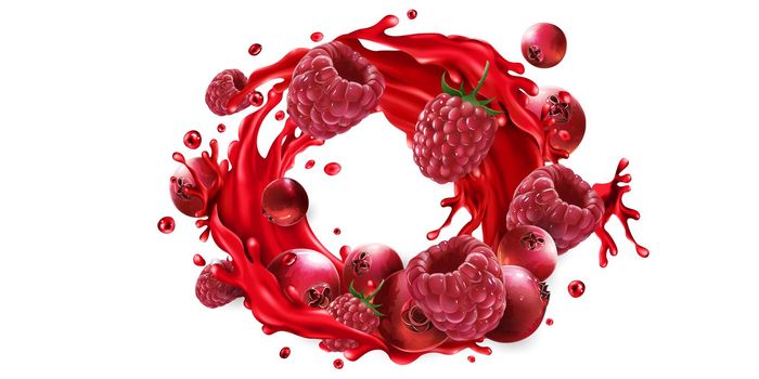 Fresh cranberries and raspberries and a splash of red fruit juice on a white background. Realistic style illustration.