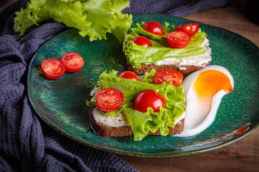 Black bread sandwich with melted cheese salad and tomatoes on a green plate