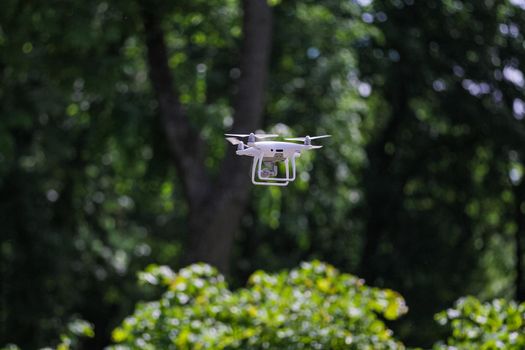 A quadcopter with a digital camera hovered above the bushes in the forest