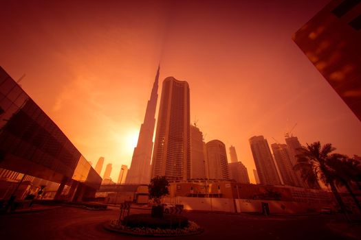 Bull jewellana and morning ray. Shooting Location: Dubai