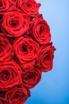 Blooming rose, flower blossom and Valentines Day present concept - Luxury bouquet of red roses on blue background, flowers as a holiday gift