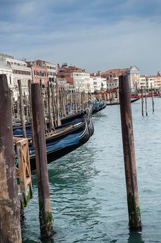 Gondolas on the Riva degli Schiavoni in Venice