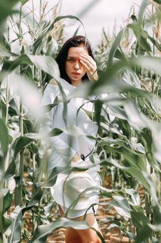 A brunette girl in a white dress in a cornfield. The concept of harvesting.