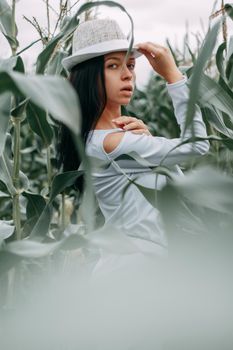 A brunette girl in a white dress in a cornfield. The concept of harvesting.