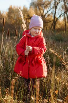 A little girl in a red coat walks in nature in an autumn grove. The season is autumn.