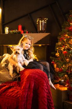 A girl in a festive outfit on the sofa with her dog next to a Christmas tree decorated with garlands, balloons and Christmas toys. The concept of winter holidays is Christmas and New Year holidays. Magical festive atmosphere.