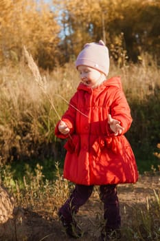 A little girl in a red coat walks in nature in an autumn grove. The season is autumn.