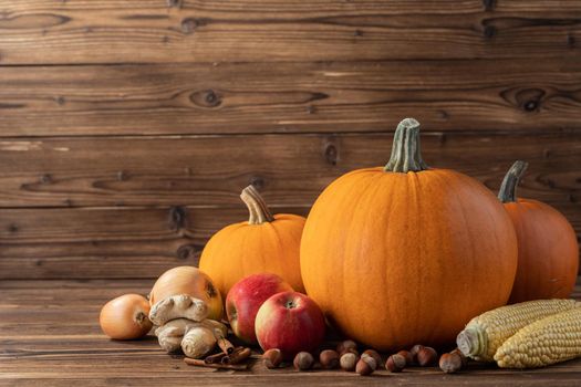 Fall harvest still life with pumpkins in autumn colors on wooden background