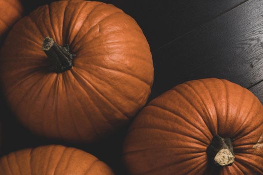 Dark pumpkin background of many pumpkins, Halloween or Thanksgiving day concept