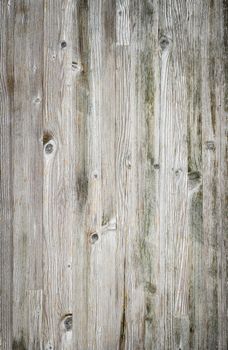 Wooden planks overlay texture for your design. Shabby chic background. Easy to edit wood texture backdrop.