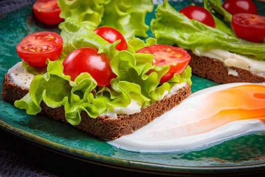 Black bread sandwich with melted cheese salad and tomatoes on a green plate