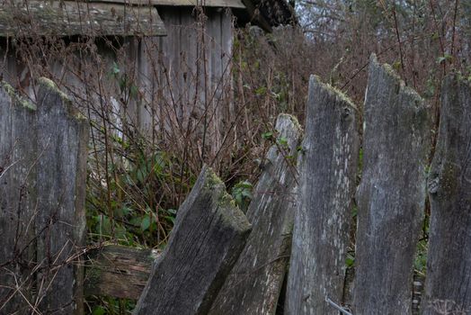 Broken fence against the background of high grass and an old barn. Old faulty fence. Sloping rotten boards of an old fence in the village.