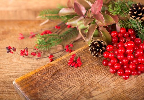 branches of holly, pine cones, mountain ash berries