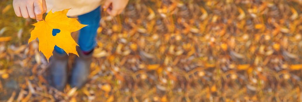 Children in the park with autumn leaves. Selective focus. nature.