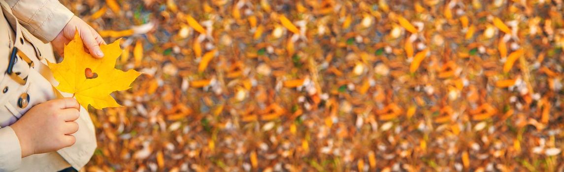 Children in the park with autumn leaves. Selective focus. nature.