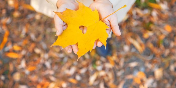 Children in the park with autumn leaves. Selective focus. nature.