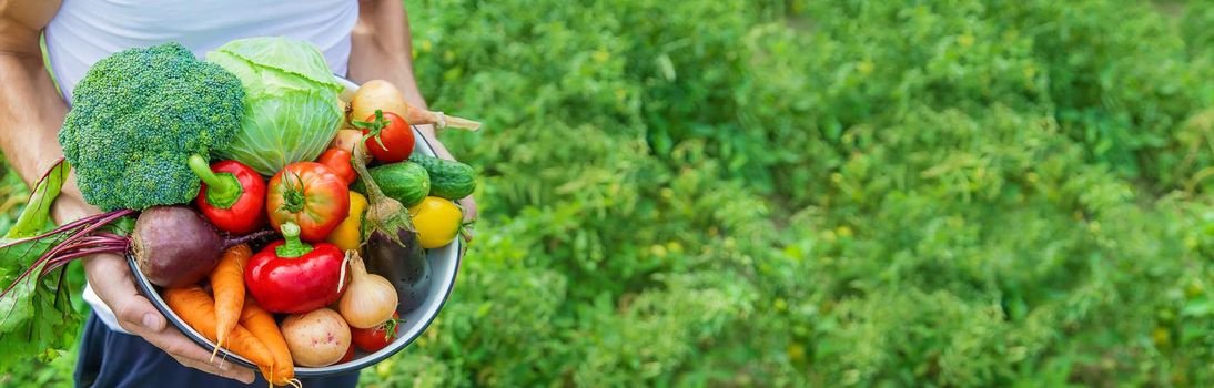 Man farmer with homemade vegetables in his hands. Selective focus. nature.