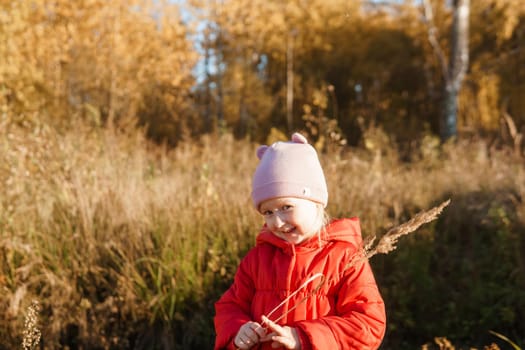 A little girl in a red coat walks in nature in an autumn grove. The season is autumn.