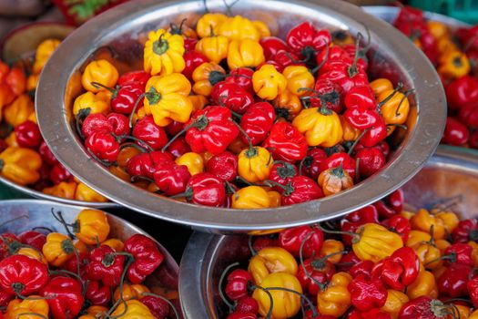 Spicy, hot, colourful chilli peppers, Capsicum chinense, on display on a market stall