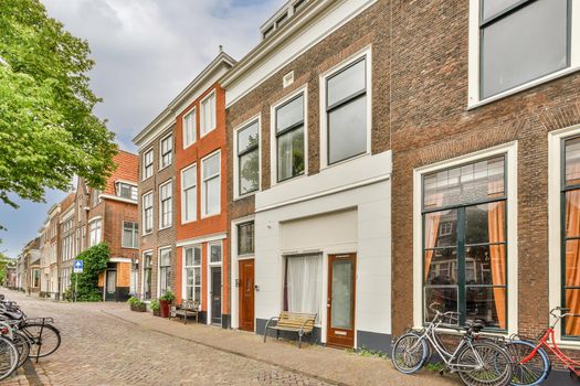 View of street near building with beauty of vegetation outside