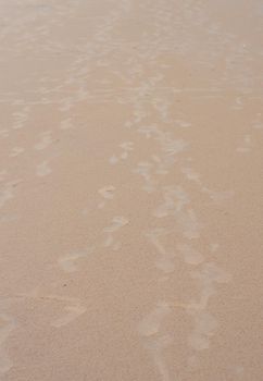 Footsteps on Sand. Footprints on Sandy Sea beach. Puri Orissa India.
