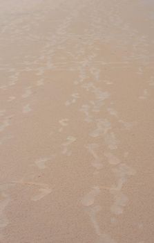 Footsteps on Sand. Footprints on Sandy Sea beach. Puri Orissa India.