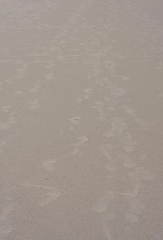 Footsteps on Sand. Footprints on Sandy Sea beach. Puri Orissa India.