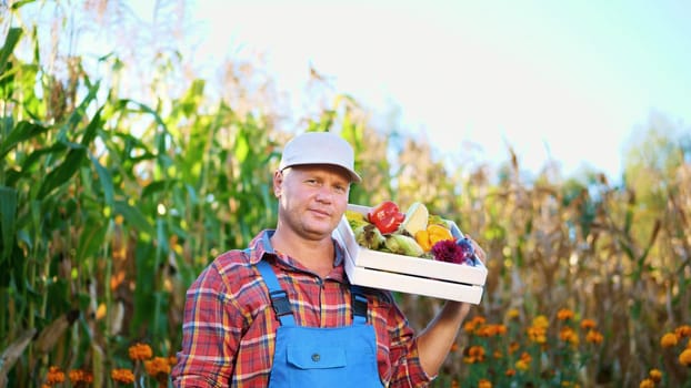 smiling male farmer in plaid shirt and hat holds a box with different fresh vegetables, harvest. background of cornfield, on a farm, vegetable garden, sunny summer day. High quality photo