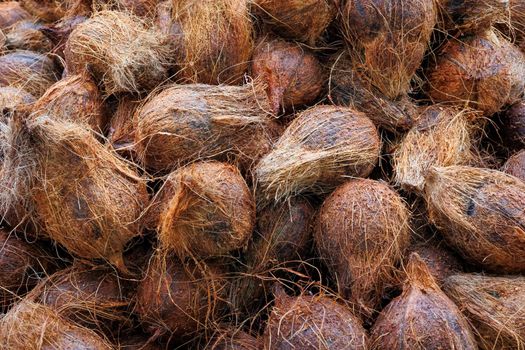 Pile of coconuts,Cocos nucifera, on display on a market stall