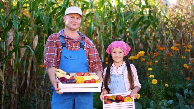 portrait of smiling farmers family , dad and daughter holding wooden boxes with different fresh vegetables, harvest on farm, sunny summer day. background of cornfield,. High quality photo